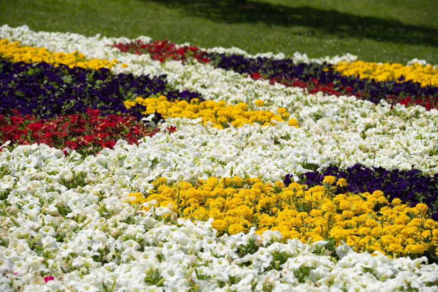 Od 29. svibnja do 2. lipnja u parku Bundek održat će se 58. Međunarodna vrtna izložba Floraart 